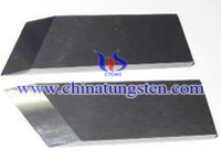 Tungsten Carbide Inserts Picture